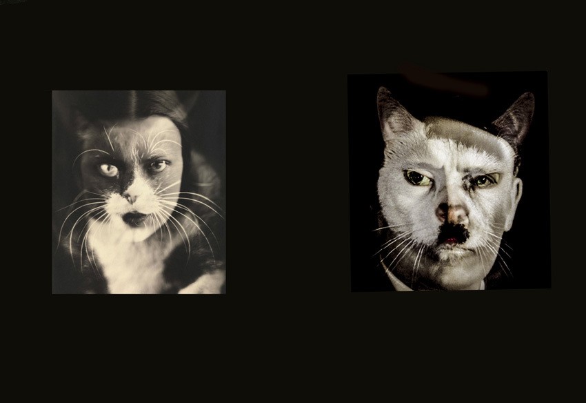 Cat people